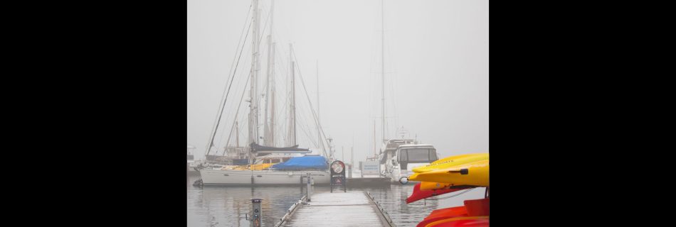 Aker_brygge_marina_in_oslo_covered_in_early_morning_fog