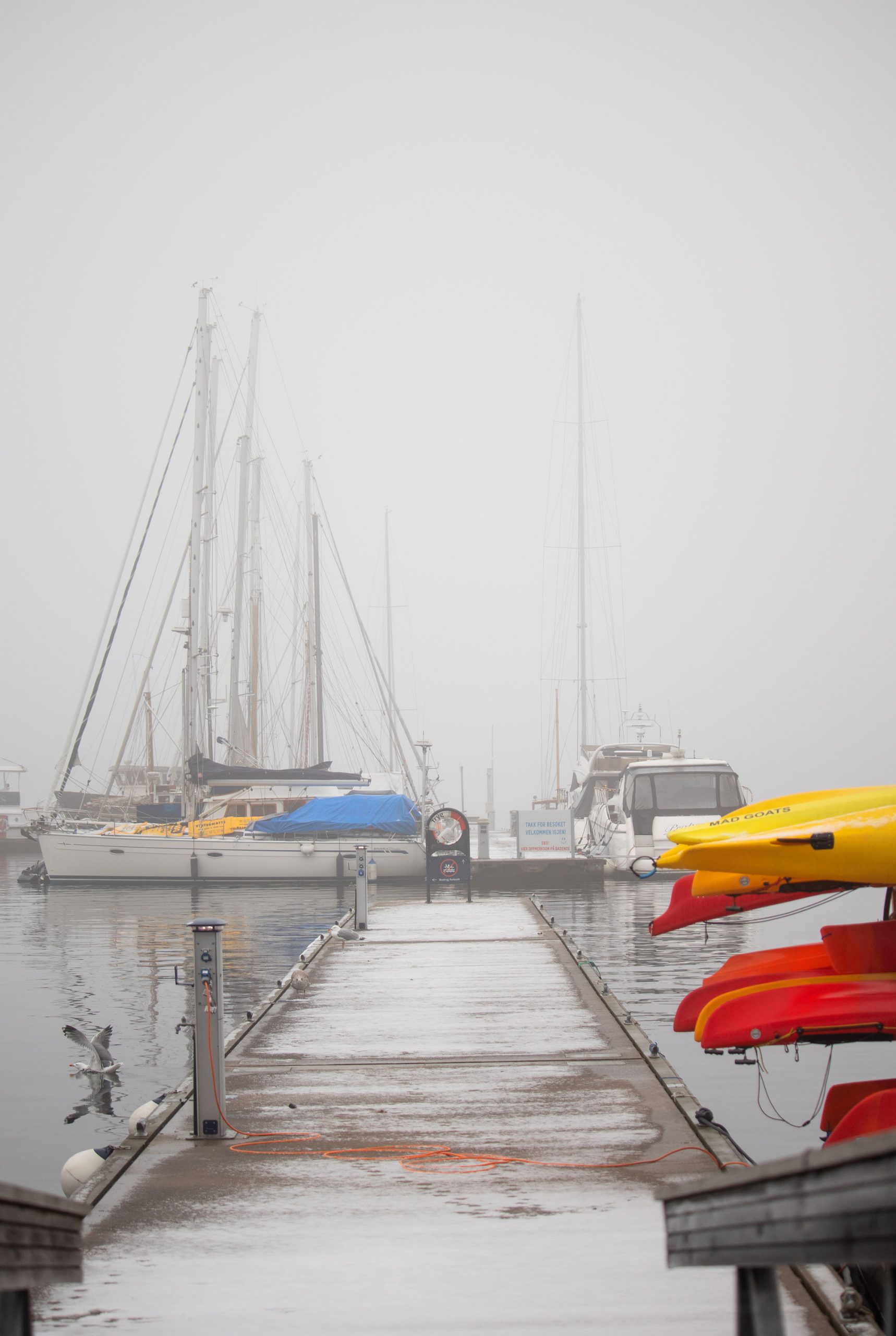 aker_brygge_marina_oslo