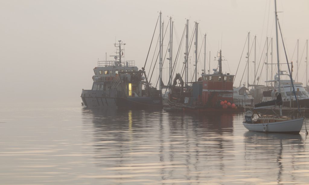 evening_mist