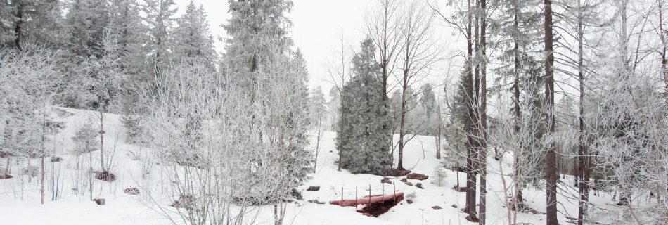 oslo_snow_scene