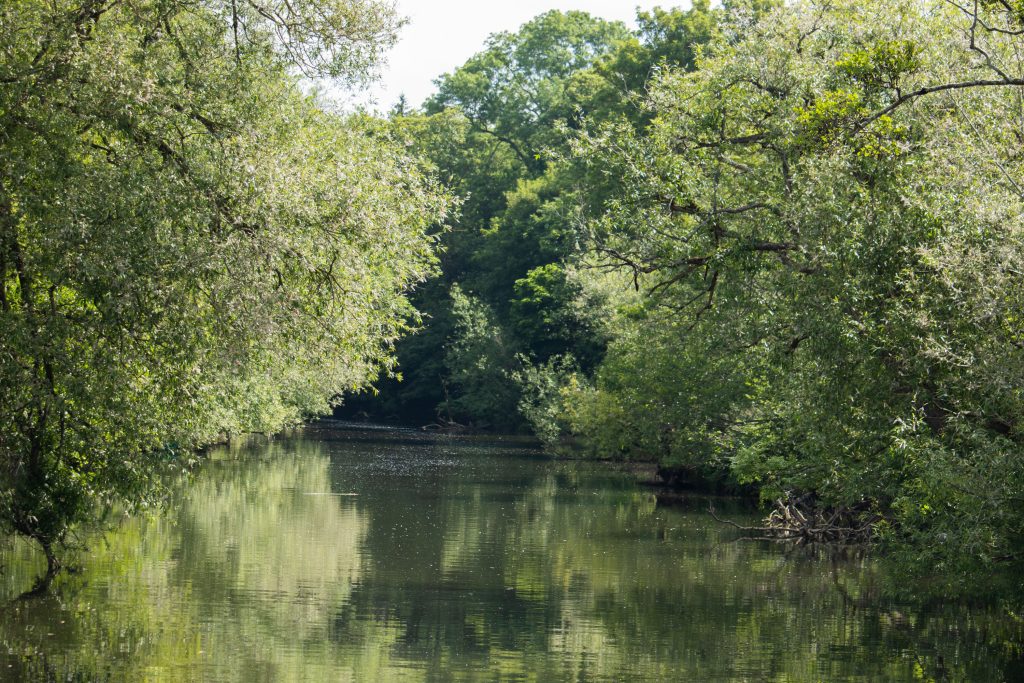 river_avon_bath