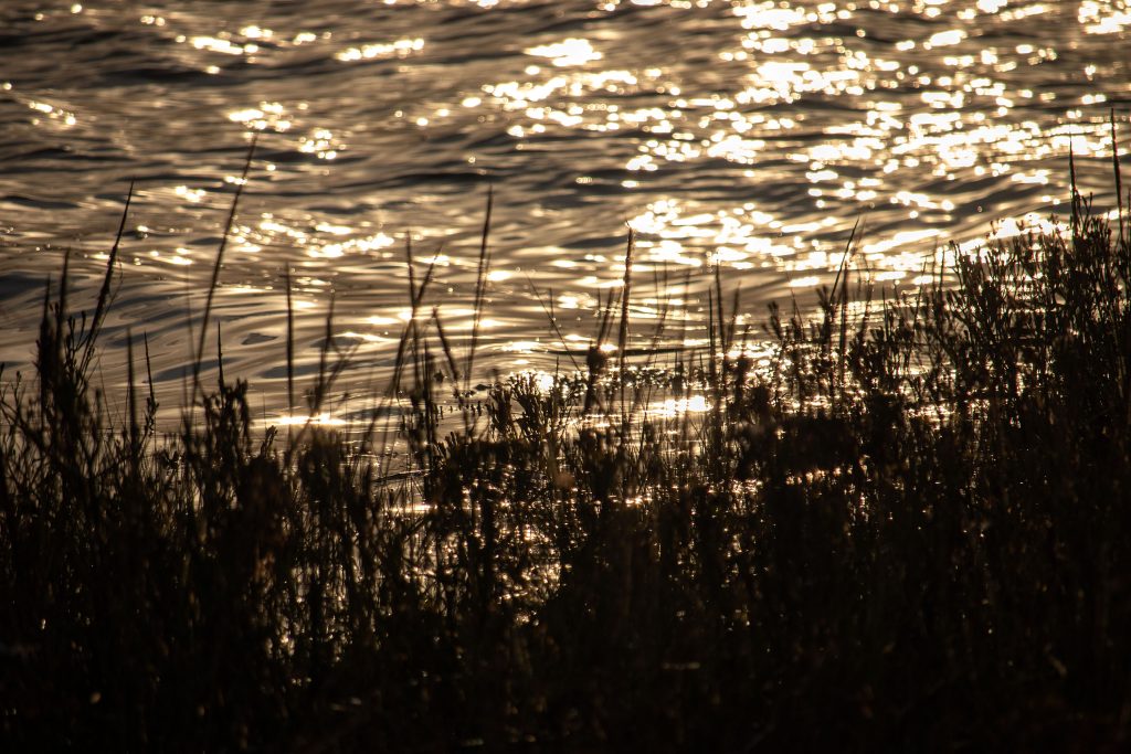 riverside_at_topsham_sunset