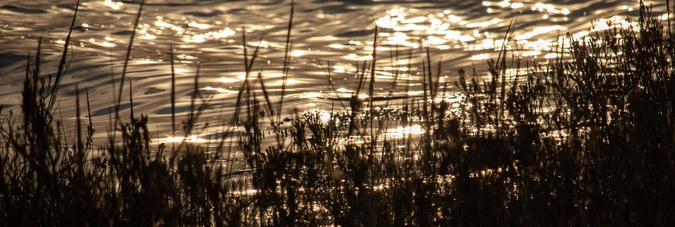 riverside_at_topsham_sunset