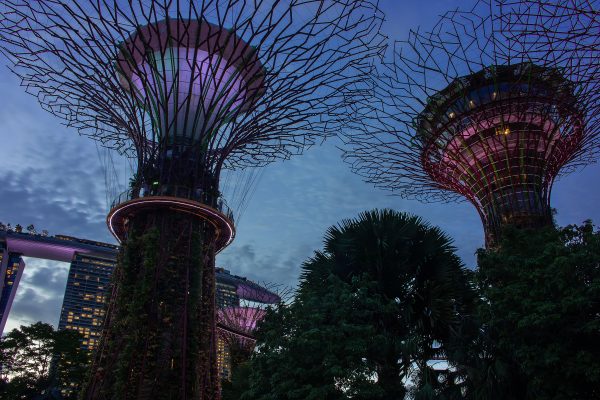 gardens_at_the_bay_magic_hour