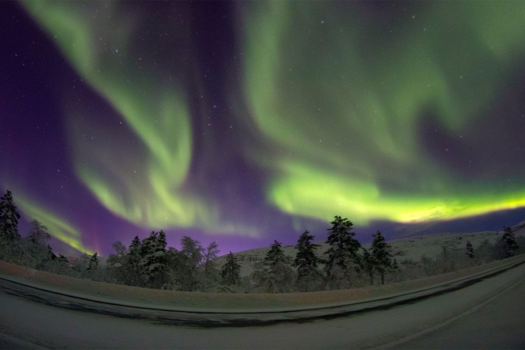 Northern_lights_over_Storsteinnes