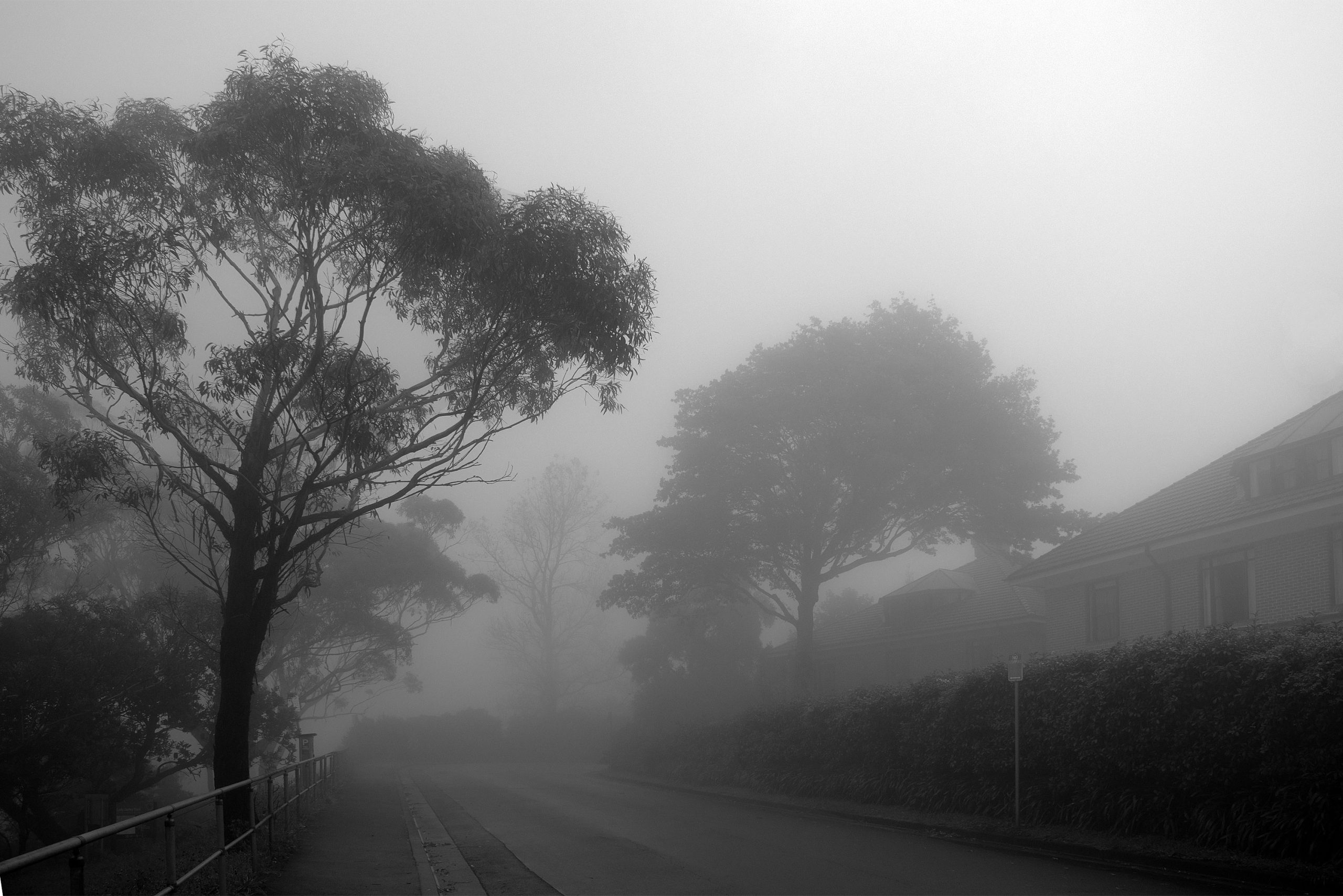 Fog_shrouded_street_in_Katoomba_Blue_Mountains