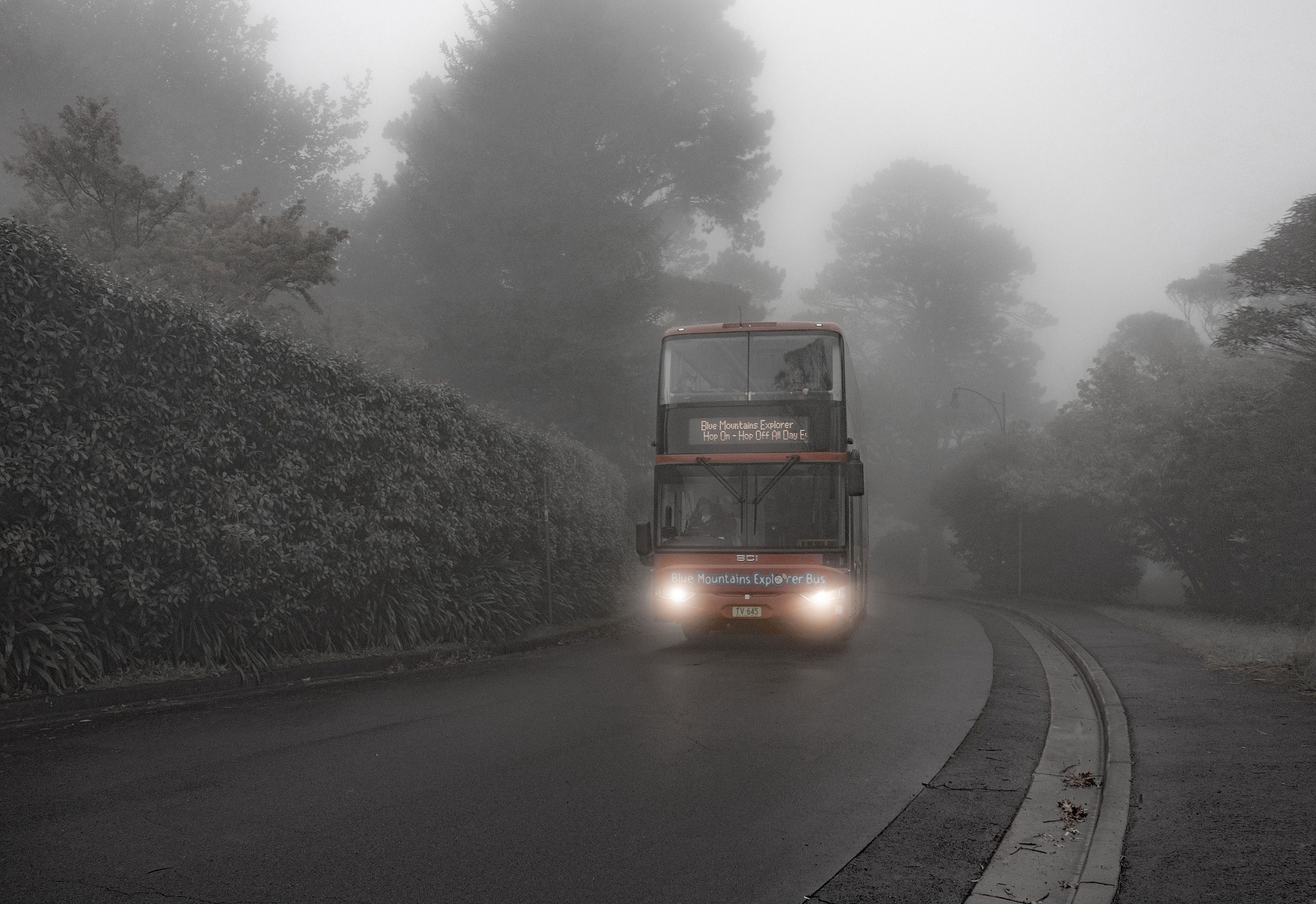 Bus_emerging_from_fog_in_Katoomba_Blue_Mountains_Australia