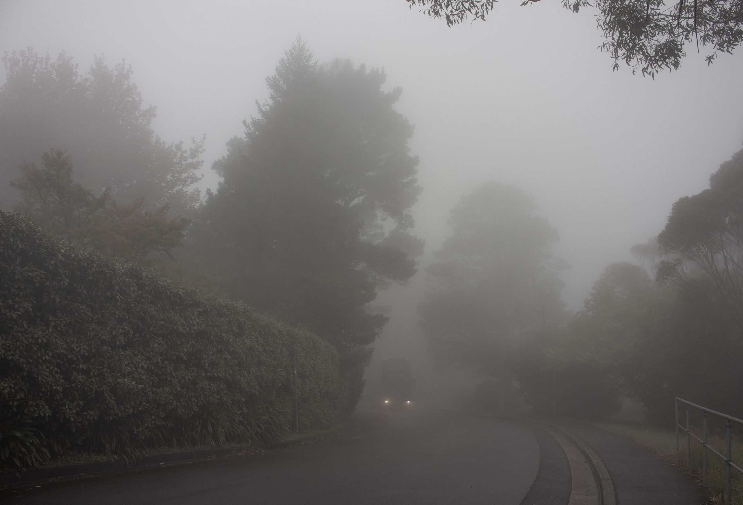 bus_emerges_from_fog_in_Katoomba_Blue_mountains