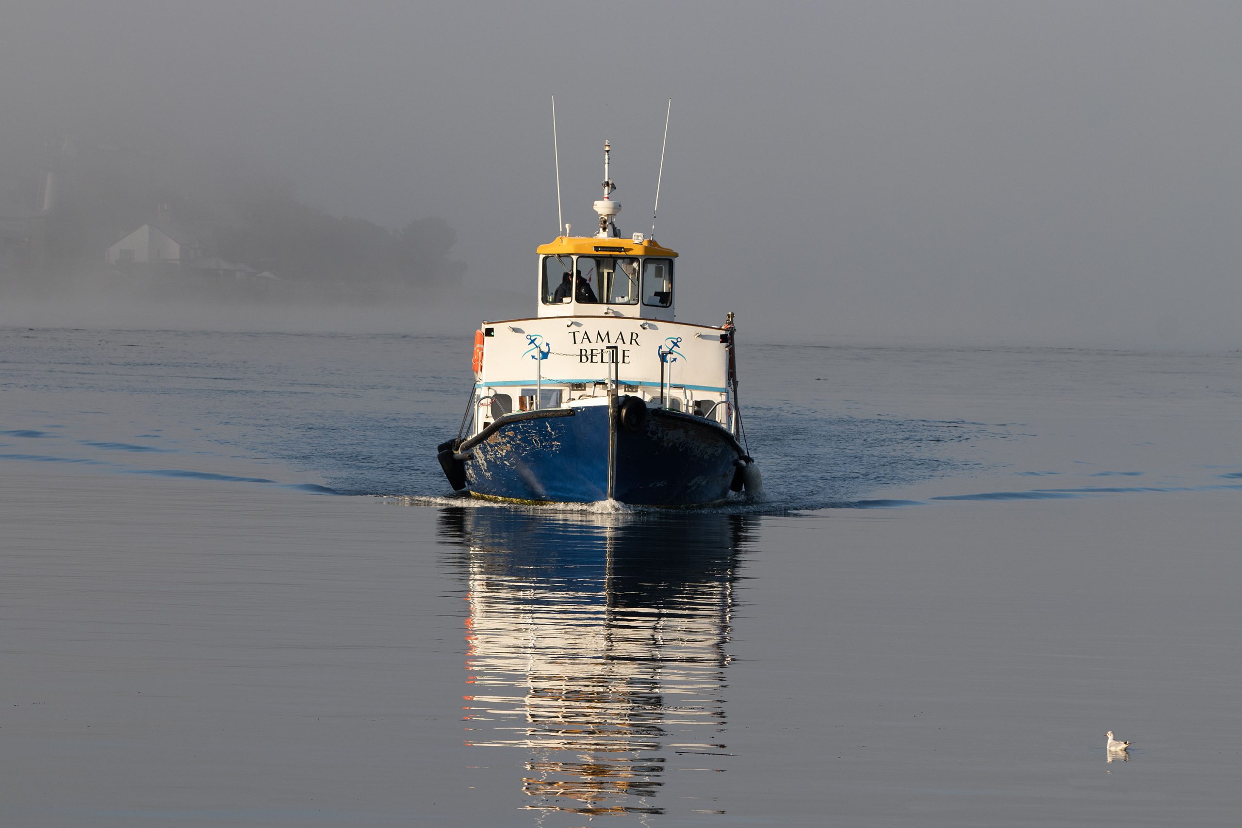 Tamar_Belle_ferry_sailing_on_the_River_Tamar