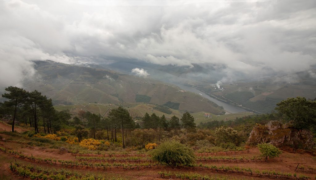 View_over_the_Douro_Valley_with_terraced_vineyards,_the_Douro_River_and_dramatic_storm_clouds